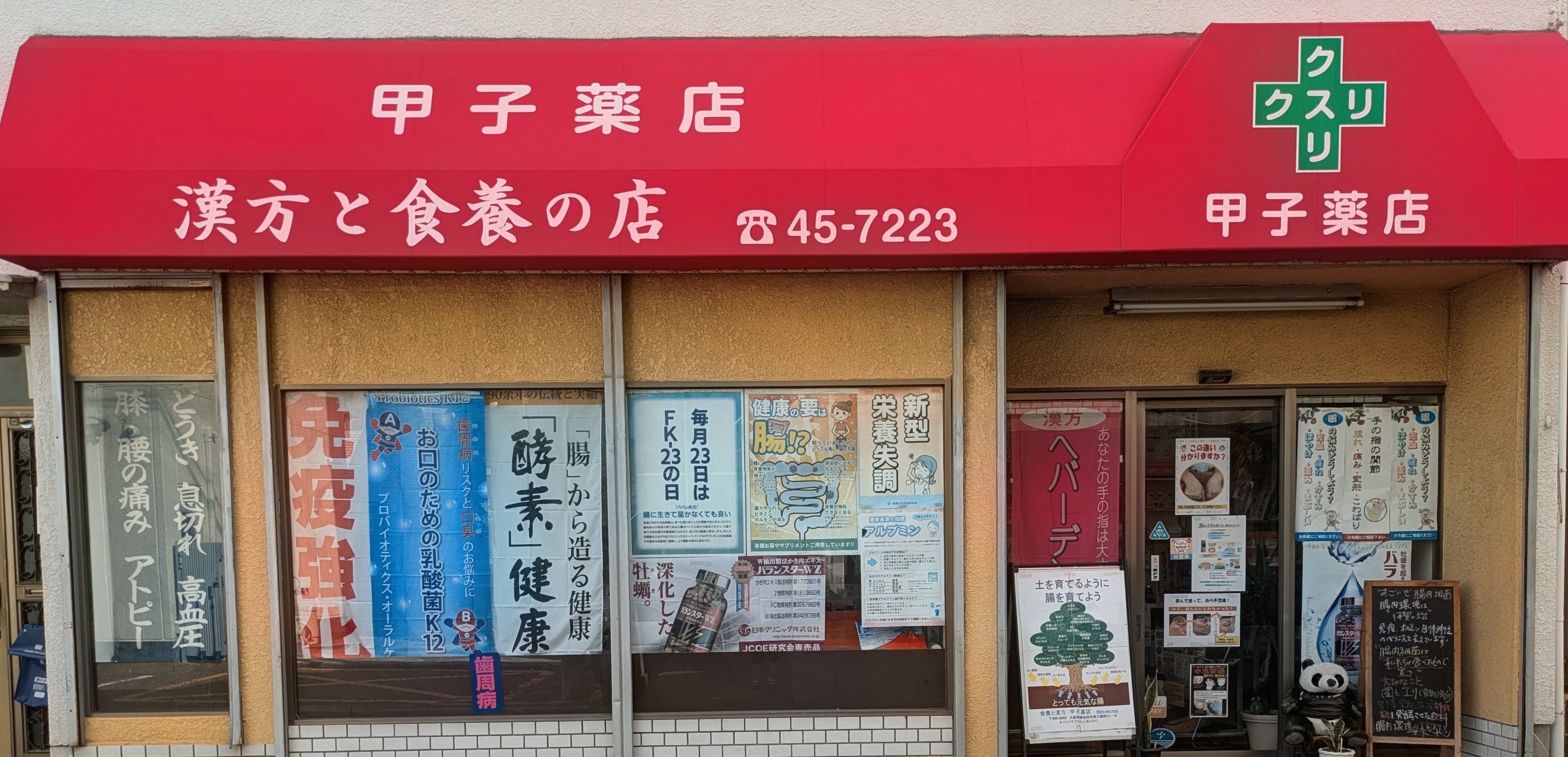 木の棚と植物が並ぶ甲子薬店の店内イメージ